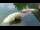 Webcam in San Diego, Californie, 63.2 km