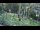 Webcam in San Diego, California, 1.6 mi away