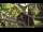Webcam in San Diego, California, 11 mi away