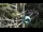 Webcam in San Diego, California, 63.6 km