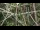 Webcam in San Diego, Californien, 147.8 km