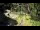 Webcam in San Diego, California, 11 mi away