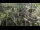 Webcam in San Diego, Kalifornien, 27.2 km entfernt