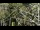 Webcam in San Diego, Californie, 147.8 km