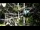 Webcam in San Diego, California, 69.7 km