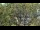 Webcam in San Diego, California, 8 mi away