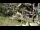 Webcam in San Diego, Californie, 4.8 km
