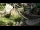 Webcam in San Diego, California, 2.7 mi away