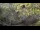 Webcam in San Diego, California, 1.9 mi away