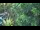 Webcam in San Diego, California, 6.3 mi away