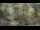 Webcam in San Diego, California, 15 mi away