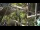 Webcam in San Diego, California, 2.2 km