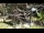 Webcam in San Diego, California, 6.3 mi away