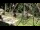 Webcam in San Diego, California, 11.4 mi away