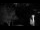 Webcam in San Diego, California, 11.4 mi away