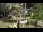 Webcam in San Diego, Californien, 38.6 km
