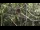 Webcam in San Diego, Californien, 56.3 km