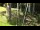 Webcam in San Diego, California, 10.9 mi away