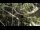 Webcam in San Diego, Californien, 28.4 km
