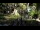 Webcam in San Diego, California, 2.7 mi away