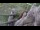 Webcam in San Diego, California, 11.4 mi away