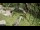 Webcam in San Diego, California, 1.6 mi away