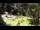 Webcam in San Diego, California, 6.3 mi away