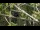 Webcam in San Diego, California, 12.6 mi away