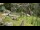 Webcam in San Diego, California, 11 mi away