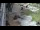 Webcam in San Diego, California, 6.3 mi away