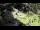 Webcam in San Diego, California, 1.9 mi away