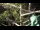 Webcam in San Diego, California, 12.6 mi away