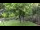 Webcam in San Diego, California, 1.7 mi away
