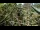 Webcam in San Diego, California, 10.7 km