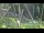 Webcam in San Diego, California, 11.4 mi away