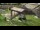 Webcam in San Diego, California, 1.9 mi away