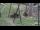 Webcam in San Diego, California, 2.7 mi away