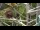 Webcam in San Diego, Californie, 6.9 km