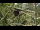 Webcam in San Diego, Californie, 69.7 km