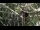 Webcam in San Diego, California, 7.1 km