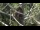 Webcam in San Diego, California, 7.1 km