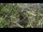 Webcam in San Diego, California, 4.1 mi away