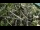 Webcam in San Diego, Californien, 32.5 km
