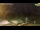 Webcam in Gonten, 3.3 km entfernt