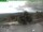 Webcam sul Inselsberg, 15.9 km