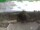 Webcam sul Inselsberg, 4.5 km