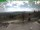 Webcam on mount Inselsberg, 6.2 mi away