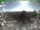 Webcam sul Inselsberg, 9.6 km