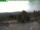 Webcam sur le Inselsberg, 31.3 km