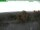 Webcam auf dem Inselsberg, 0.2 km entfernt